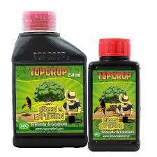 GREEN EXPLOSION (250 ML)