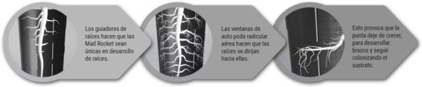 Macetas - Mad Rocket (10 lt) - Imagen 3